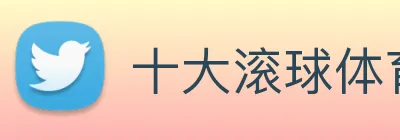 十大滚球体育app官网 logo